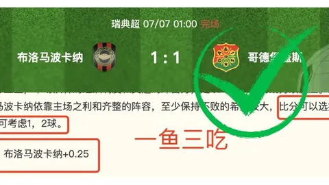 广州赛马会，比赛分析， 112810